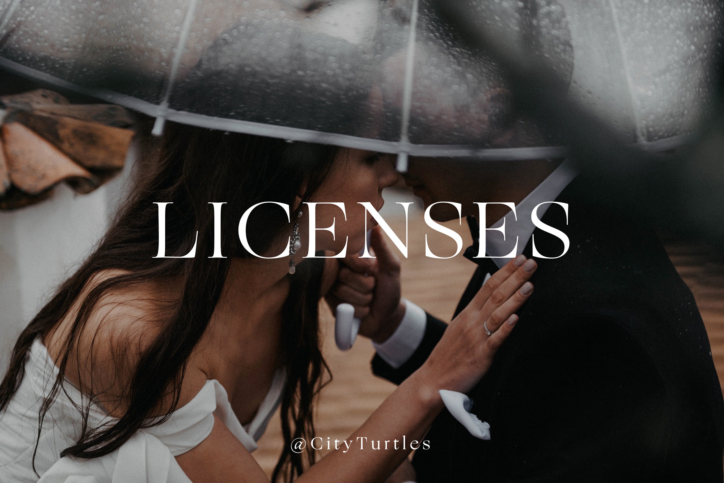 3 Commercial Use outlet Licenses